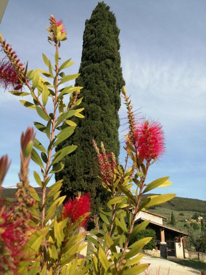Villa Borgo Buciardella à Baschi Extérieur photo