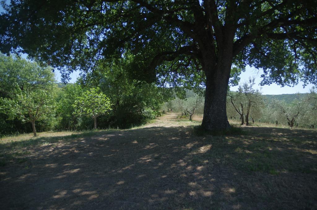 Villa Borgo Buciardella à Baschi Extérieur photo