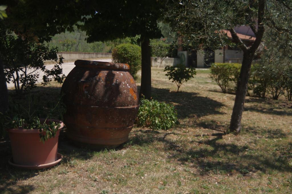 Villa Borgo Buciardella à Baschi Extérieur photo