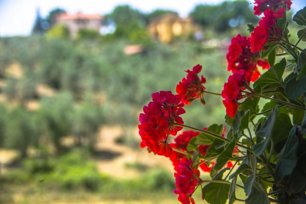 Villa Borgo Buciardella à Baschi Extérieur photo
